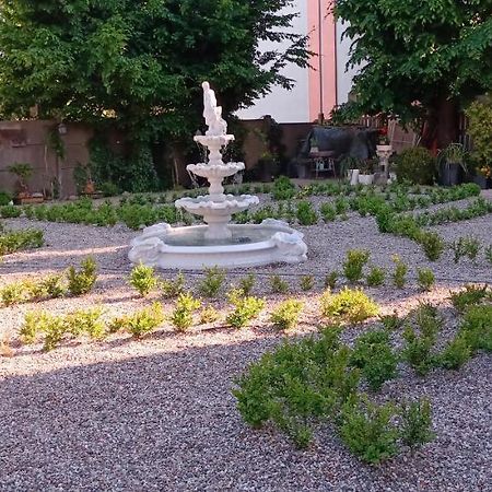 Apartament Willa Anta Debno  Zewnętrze zdjęcie